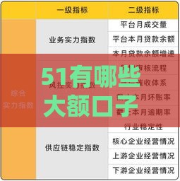 51有哪些大额口子？2025年最新靠谱网贷平台实测推荐