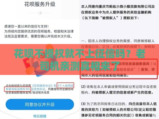 花呗不授权就不上征信吗？老司机亲测真相来了