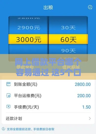 网上借款平台哪个容易通过 这5个口子秒批额度快到账