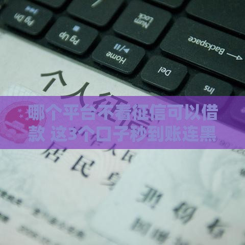 哪个平台不看征信可以借款 这3个口子秒到账连黑户都能过