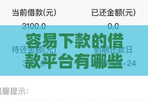容易下款的借款平台有哪些征信花了 实测5个秒过口子分享