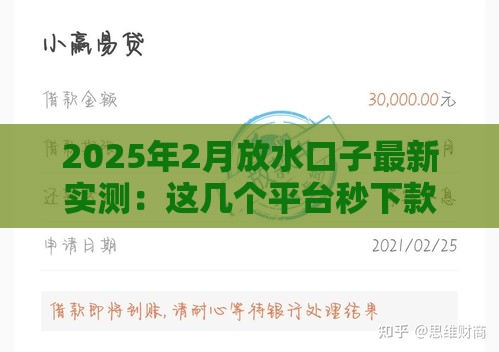 2025年2月放水口子最新实测：这几个平台秒下款真不是吹的