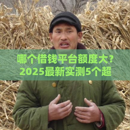哪个借钱平台额度大？2025最新实测5个超高额度口子推荐