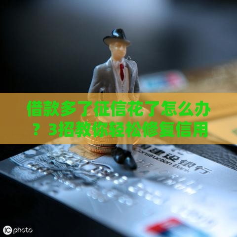 借款多了征信花了怎么办？3招教你轻松修复信用记录