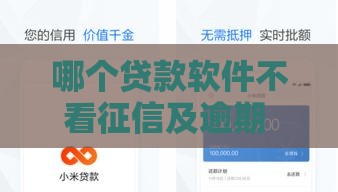 哪个贷款软件不看征信及逾期 实测5个无视黑户秒下款平台