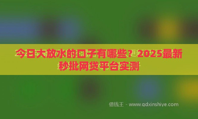 今日大放水的口子有哪些？2025最新秒批网贷平台实测