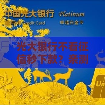 光大银行不看征信秒下款？亲测放水通道+避坑指南