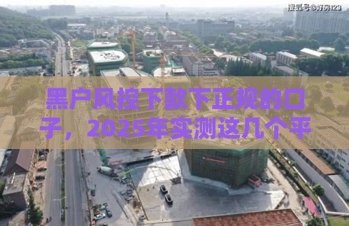 黑户风控下款下正规的口子，2025年实测这几个平台秒过！