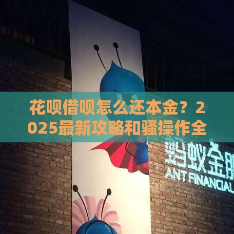 花呗借呗怎么还本金？2025最新攻略和骚操作全在这