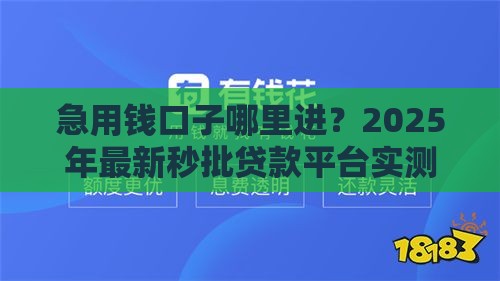 急用钱口子哪里进？2025年最新秒批贷款平台实测推荐