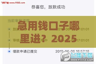 急用钱口子哪里进？2025年最新秒批贷款平台实测推荐