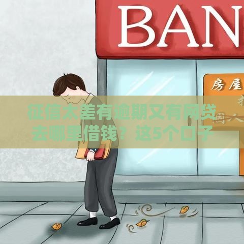 征信太差有逾期又有网贷去哪里借钱？这5个口子黑户也能下款！