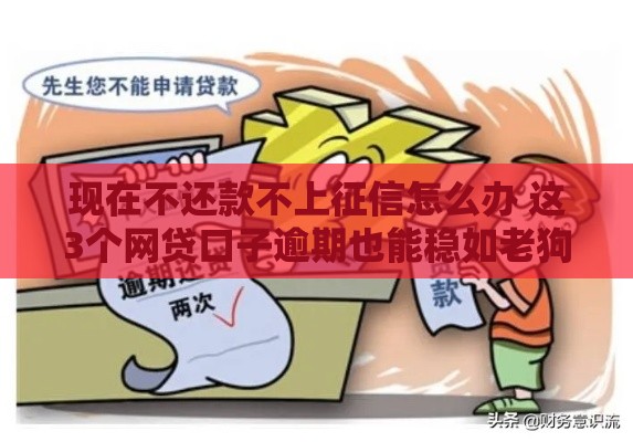现在不还款不上征信怎么办 这3个网贷口子逾期也能稳如老狗