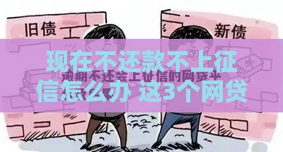 现在不还款不上征信怎么办 这3个网贷口子逾期也能稳如老狗