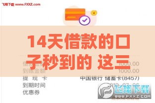 14天借款的口子秒到的 这三个平台下款快到飞起