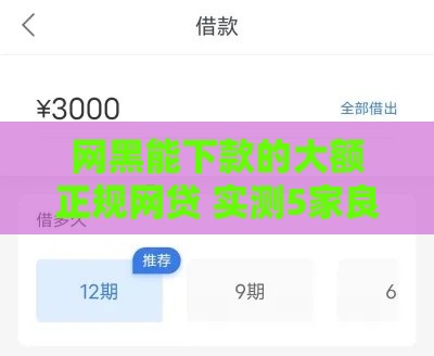 网黑能下款的大额正规网贷 实测5家良心平台秒到账攻略