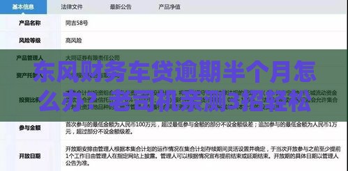 东风财务车贷逾期半个月怎么办？老司机亲测3招轻松化解