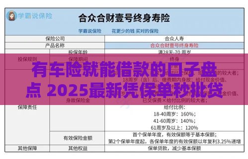 有车险就能借款的口子盘点 2025最新凭保单秒批贷款平台