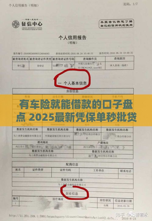 有车险就能借款的口子盘点 2025最新凭保单秒批贷款平台