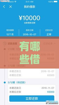 有哪些借款口子额度高 这几家放款快还不上征信