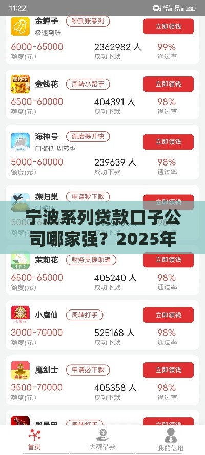 宁波系列贷款口子公司哪家强？2025年实测靠谱推荐