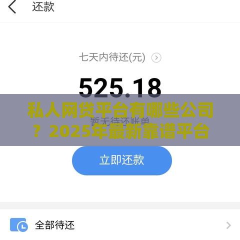 私人网贷平台有哪些公司？2025年最新靠谱平台大揭秘