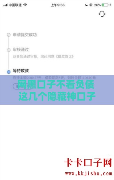 网黑口子不看负债 这几个隐藏神口子下款稳如老狗