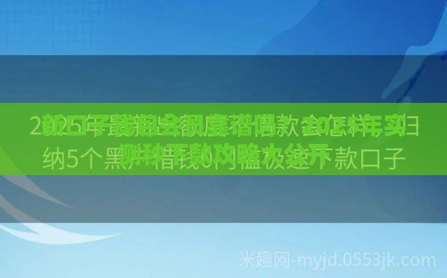 新口子钱包会员靠谱吗？2025年实测秒下款攻略大公开