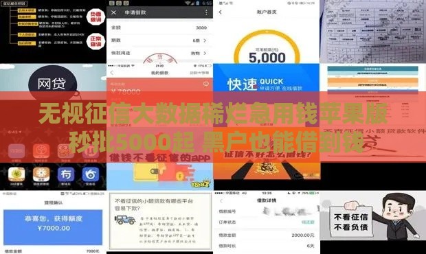 无视征信大数据稀烂急用钱苹果版 秒批5000起 黑户也能借到钱