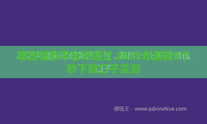 哪些借款平台好通过 2025年最新5个秒下款口子实测