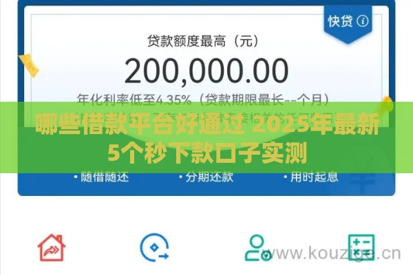哪些借款平台好通过 2025年最新5个秒下款口子实测