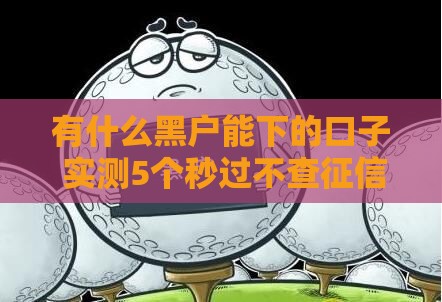 有什么黑户能下的口子 实测5个秒过不查征信的良心平台