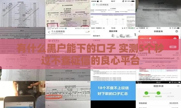 有什么黑户能下的口子 实测5个秒过不查征信的良心平台