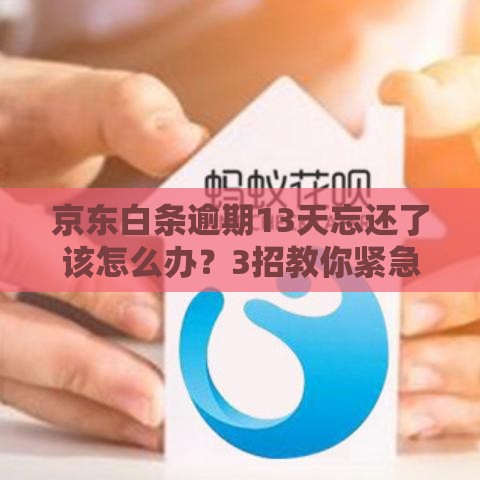 京东白条逾期13天忘还了该怎么办？3招教你紧急补救！