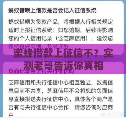 蜜蜂借款上征信不？实测老哥告诉你真相
