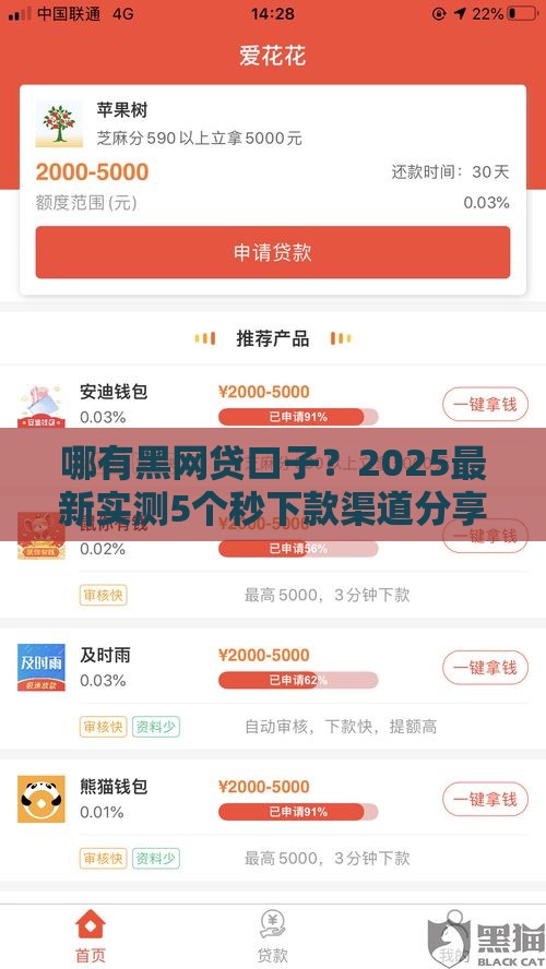 哪有黑网贷口子？2025最新实测5个秒下款渠道分享