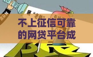 不上征信可靠的网贷平台成市场新宠，2025年黑马口子实测分享