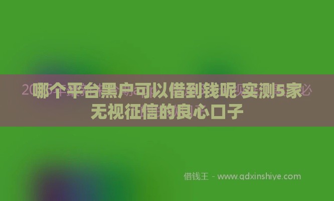 哪个平台黑户可以借到钱呢 实测5家无视征信的良心口子
