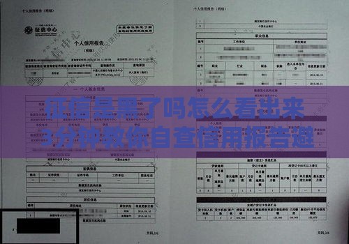 征信是黑了吗怎么看出来 3分钟教你自查信用报告避坑指南
