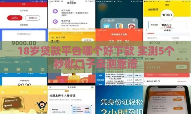 18岁贷款平台哪个好下款 实测5个秒批口子亲测靠谱