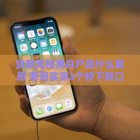 贷款无视黑白户是什么意思 老哥实测3个秒下款口子