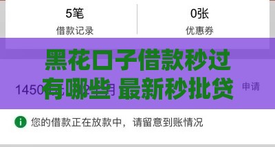 黑花口子借款秒过有哪些 最新秒批贷款平台实测分享