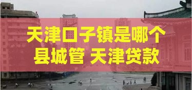 天津口子镇是哪个县城管 天津贷款口子真实测评