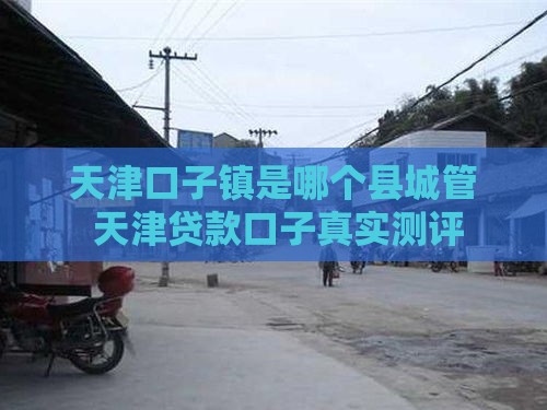 天津口子镇是哪个县城管 天津贷款口子真实测评