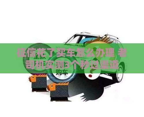 征信花了买车怎么办理 老司机实测3个秒过渠道