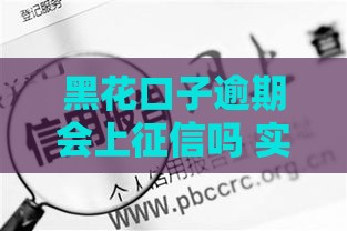 黑花口子逾期会上征信吗 实测3个月亲身经历告诉你真相