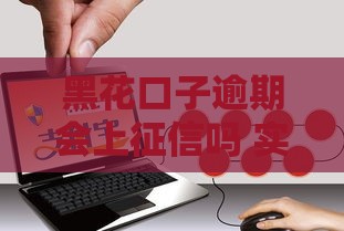 黑花口子逾期会上征信吗 实测3个月亲身经历告诉你真相