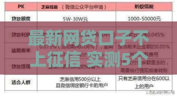 最新网贷口子不上征信 实测5个秒下款良心平台