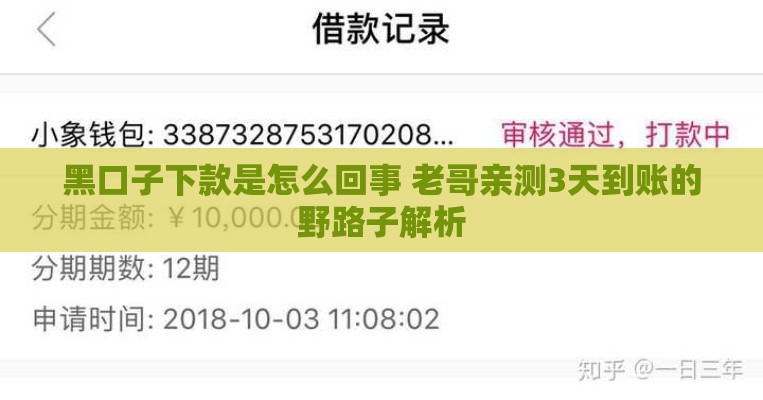黑口子下款是怎么回事 老哥亲测3天到账的野路子解析