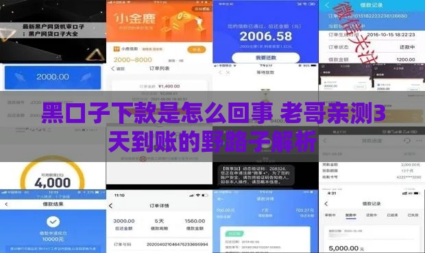 黑口子下款是怎么回事 老哥亲测3天到账的野路子解析